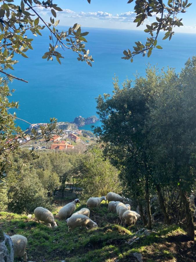 Bed & Breakfast Miramare