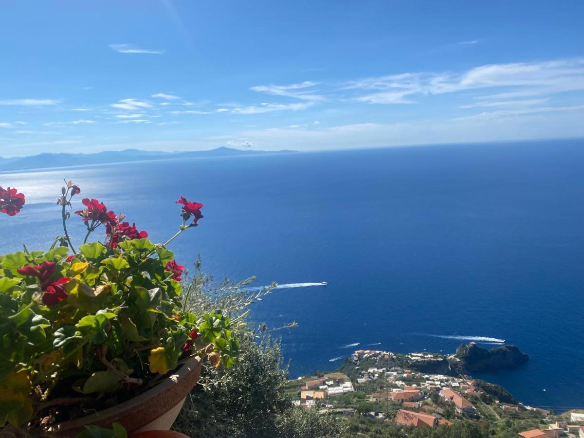 Miramare Bed & Breakfast