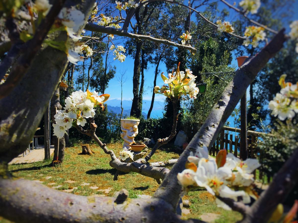 Miramare 3*
