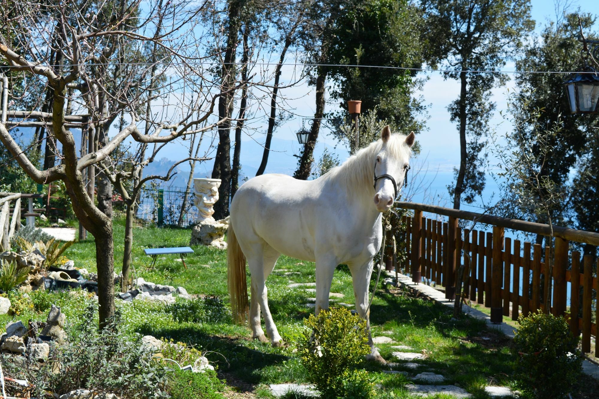 Miramare 3*